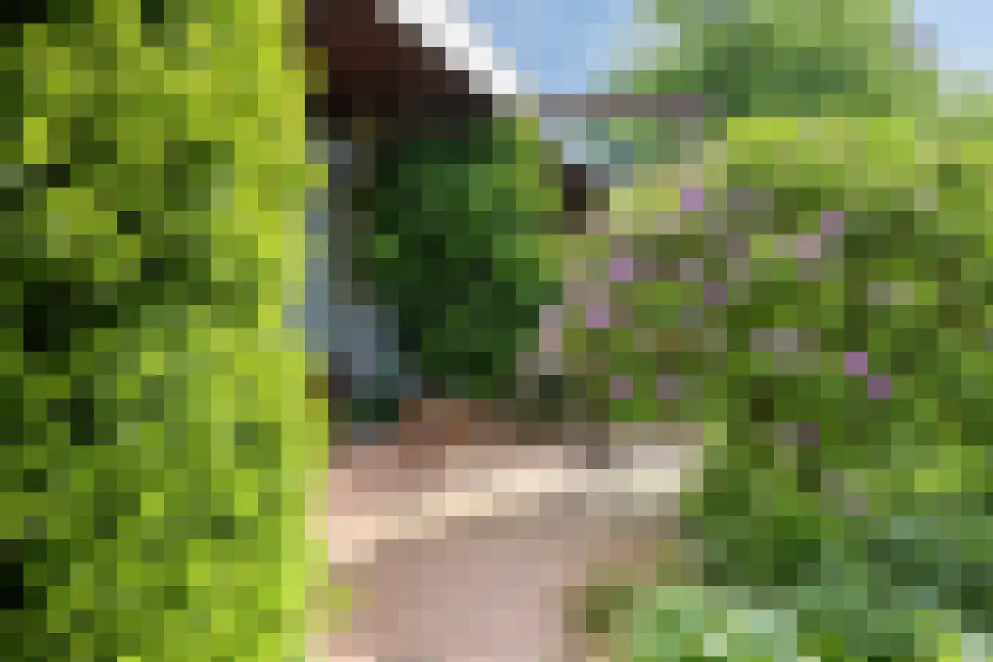 Korhoenlaan 1 Rhoon thumbnail 33