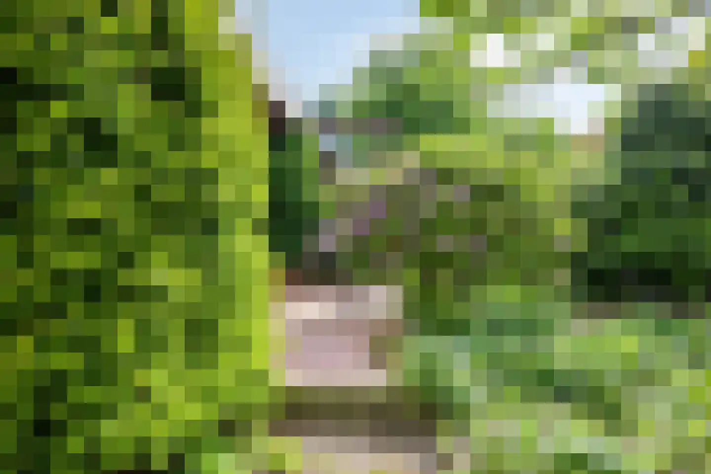Korhoenlaan 1 Rhoon thumbnail 34