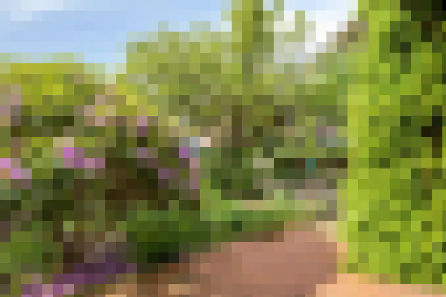 Korhoenlaan 1 Rhoon thumbnail 35