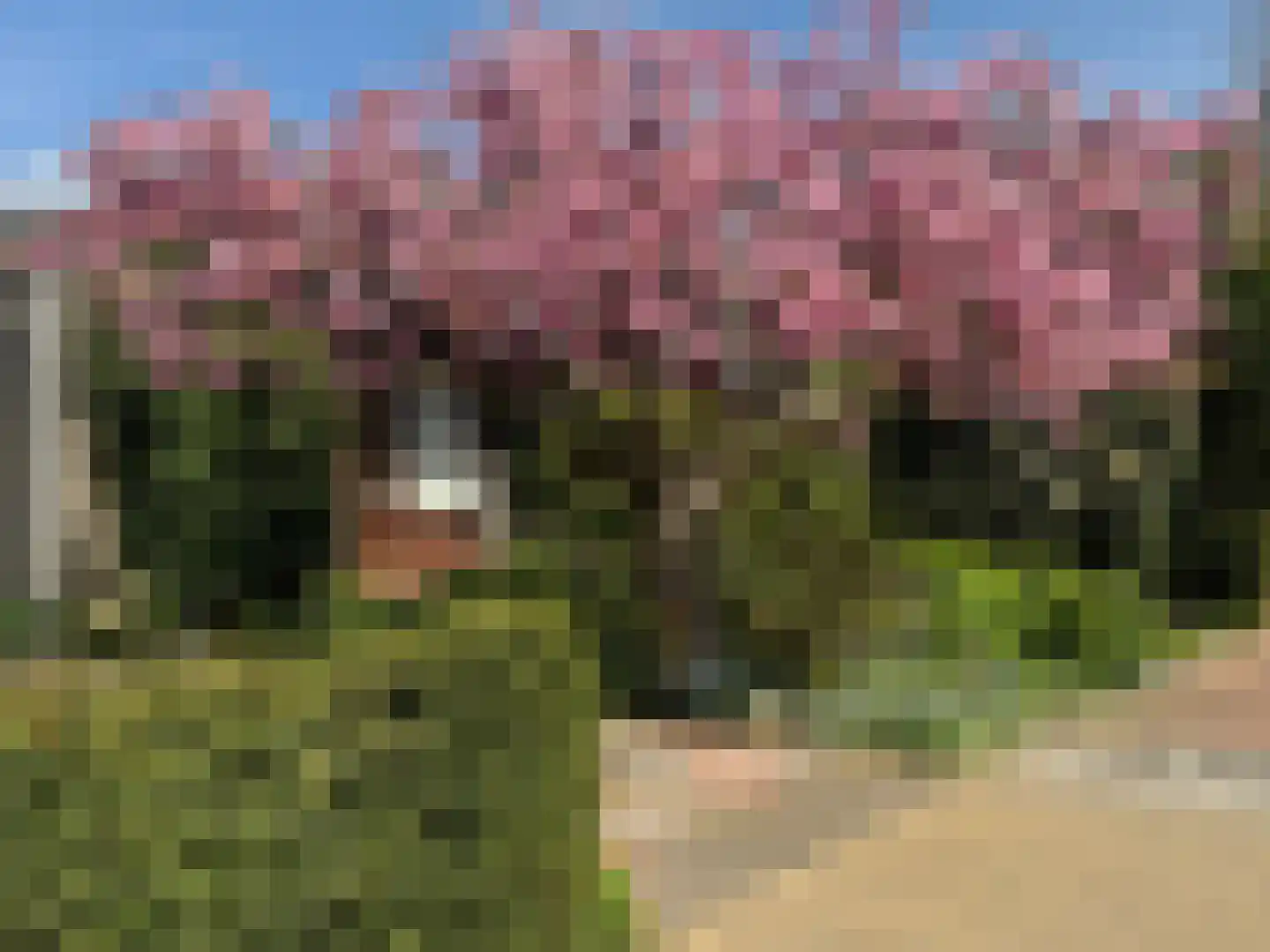 Korhoenlaan 1 Rhoon thumbnail 36