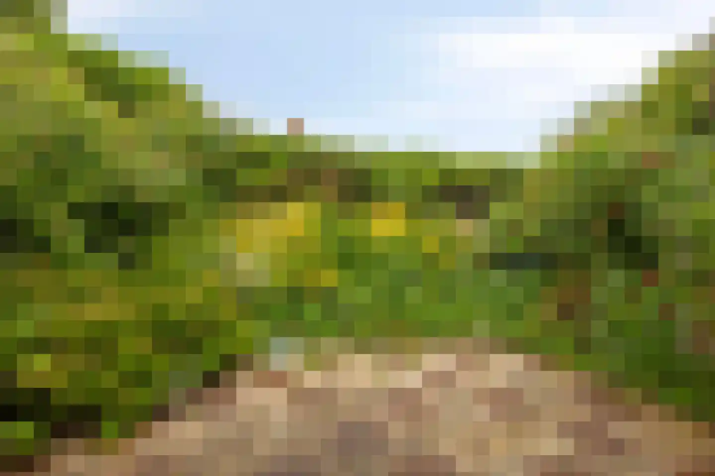 Korhoenlaan 1 Rhoon thumbnail 37