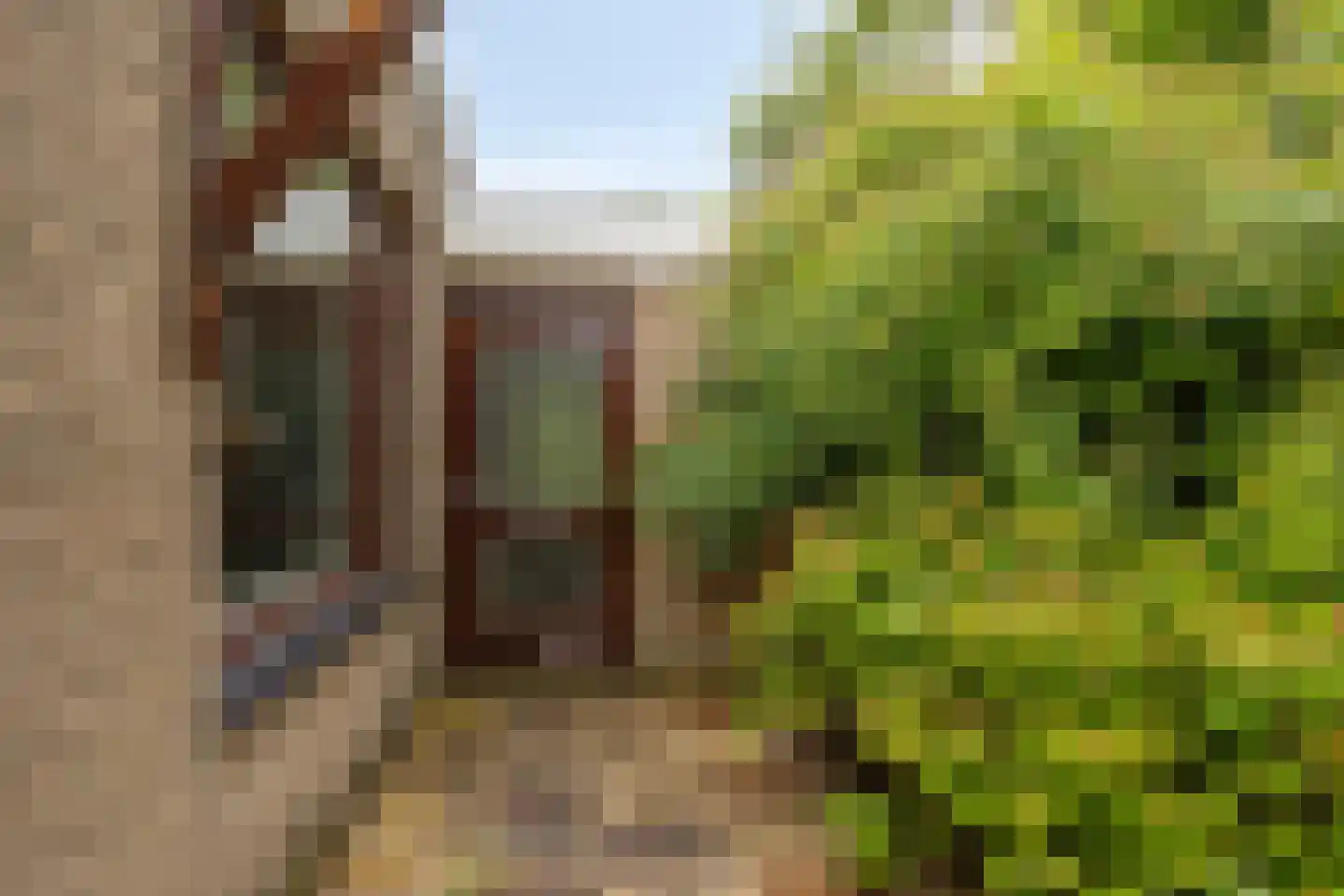 Korhoenlaan 1 Rhoon thumbnail 38