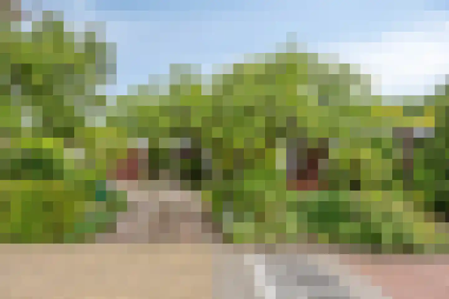Korhoenlaan 1 Rhoon thumbnail 4