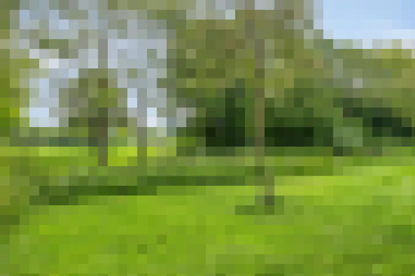 Korhoenlaan 1 Rhoon thumbnail 43