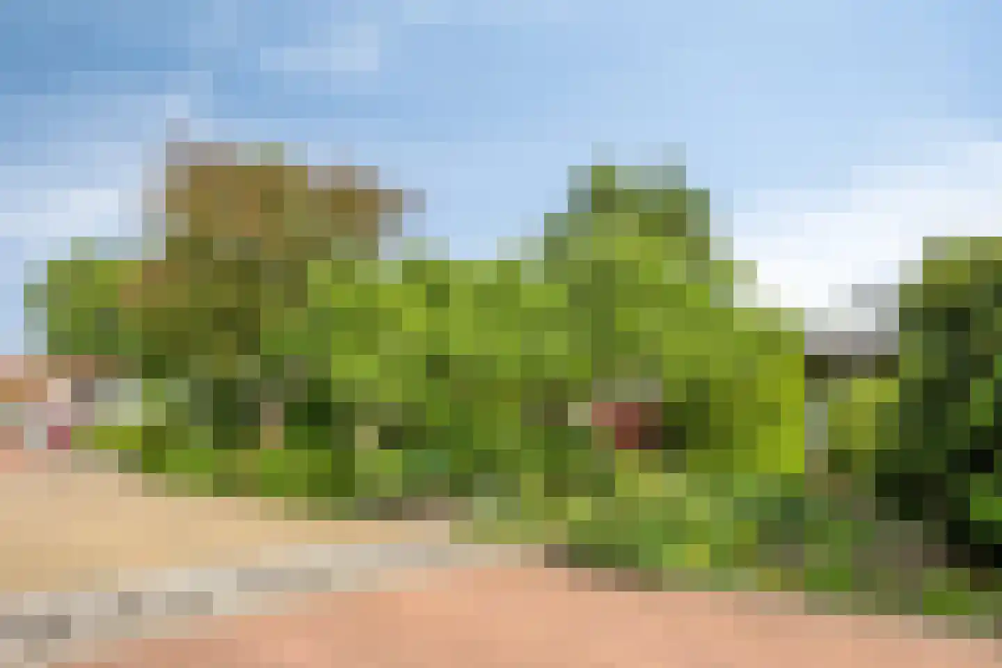 Korhoenlaan 1 Rhoon thumbnail 5