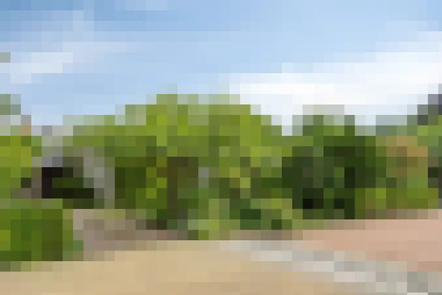Korhoenlaan 1 Rhoon thumbnail 6