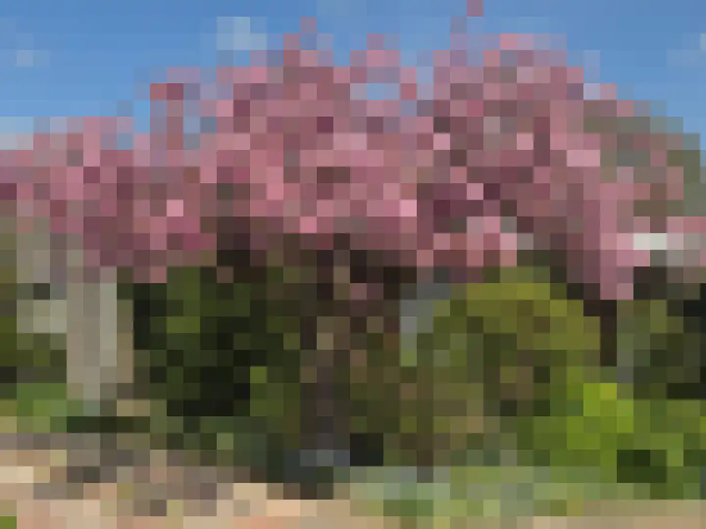 Korhoenlaan 1 Rhoon thumbnail 7