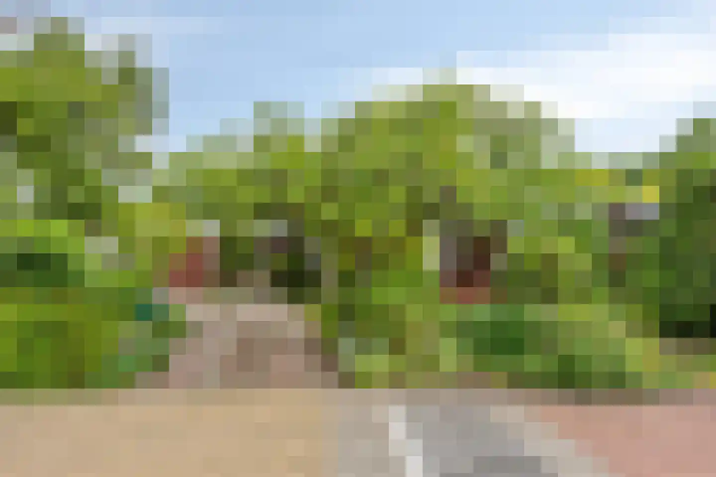 Korhoenlaan 1 Rhoon thumbnail 8