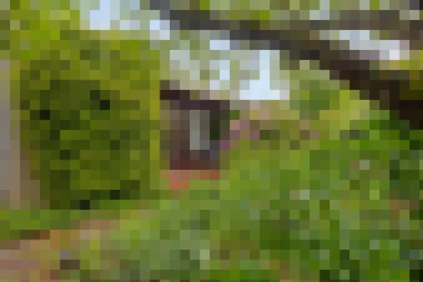 Korhoenlaan 1 Rhoon thumbnail 9