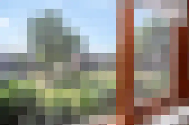 Korhoenlaan 11 Beuningen Gld thumbnail 18