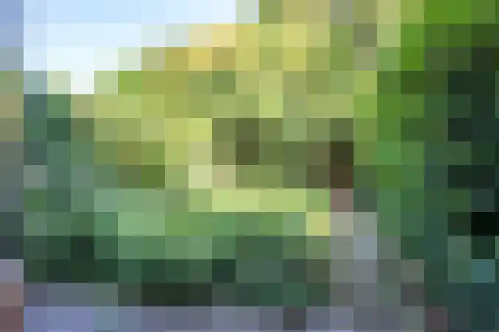 Korhoenlaan 11 Beuningen Gld thumbnail 27
