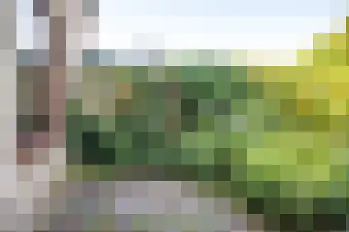 Korhoenlaan 11 Beuningen Gld thumbnail 28