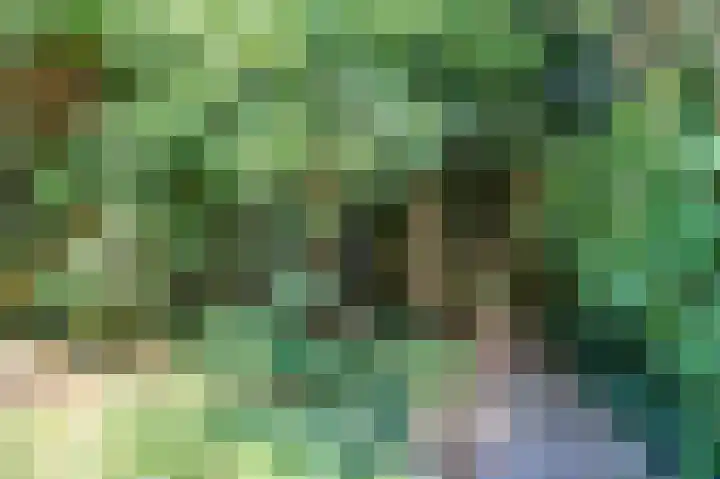 Korhoenlaan 11 Beuningen Gld thumbnail 30