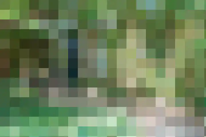 Korhoenlaan 11 Beuningen Gld thumbnail 31