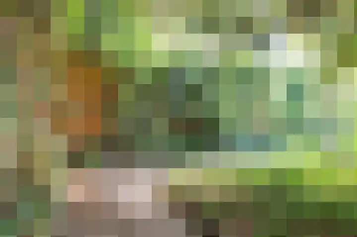 Korhoenlaan 11 Beuningen Gld thumbnail 32
