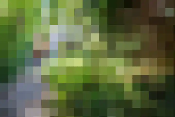 Korhoenlaan 11 Beuningen Gld thumbnail 33