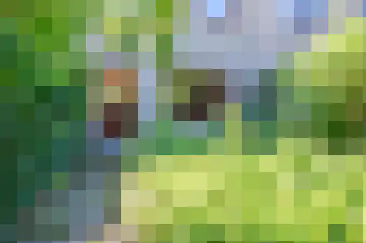 Korhoenlaan 11 Beuningen Gld thumbnail 34