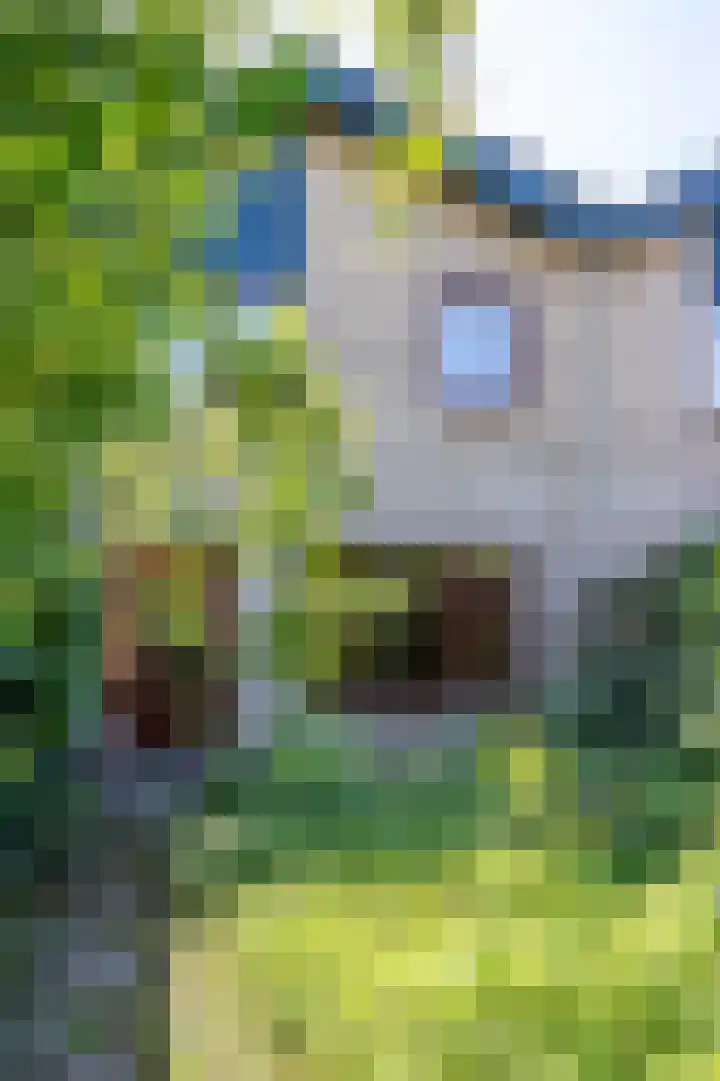 Korhoenlaan 11 Beuningen Gld thumbnail 35
