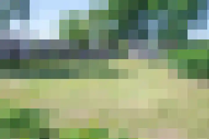 Korhoenlaan 11 Beuningen Gld thumbnail 38