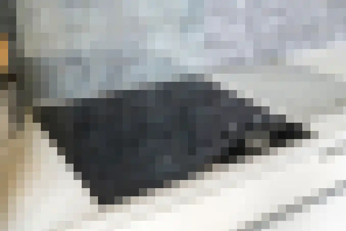 Korhoenlaan 13 Beilen thumbnail 18