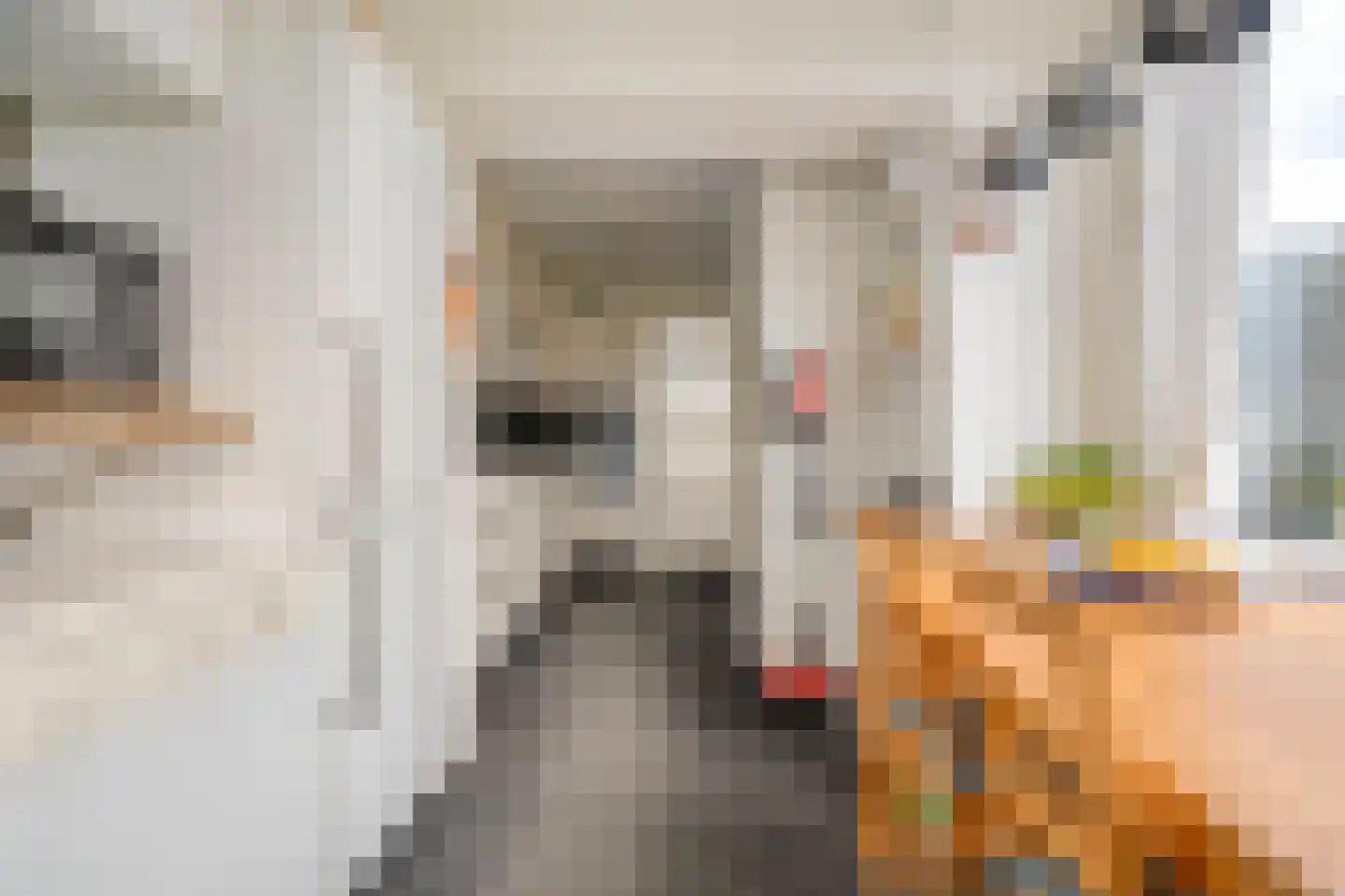 Korhoenlaan 13 Beilen thumbnail 20
