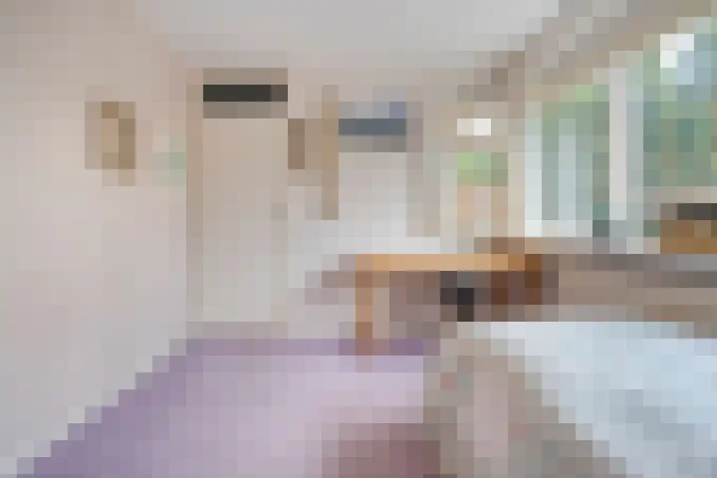 Korhoenlaan 13 Beilen thumbnail 26