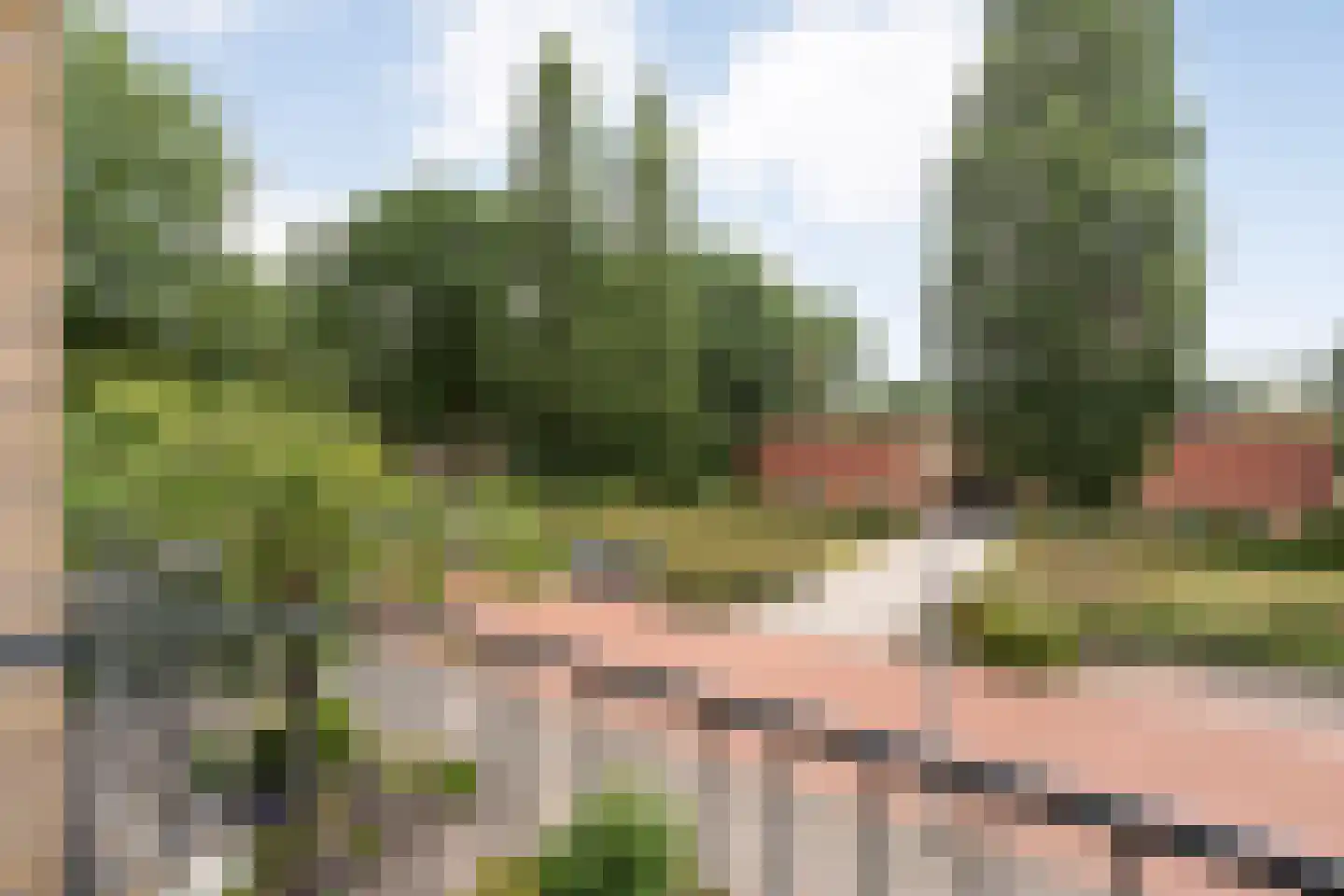 Korhoenlaan 13 Beilen thumbnail 28