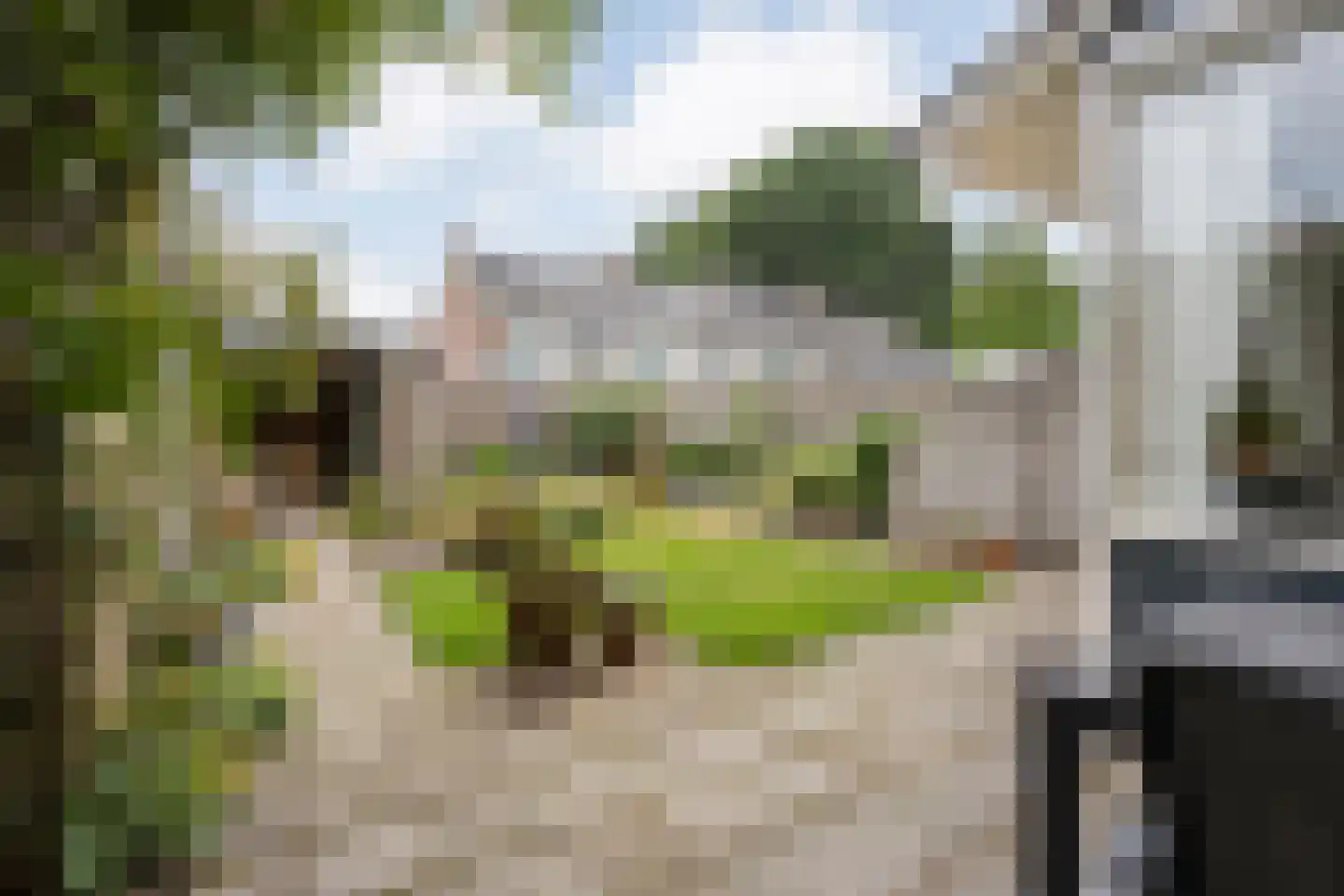 Korhoenlaan 13 Beilen thumbnail 41