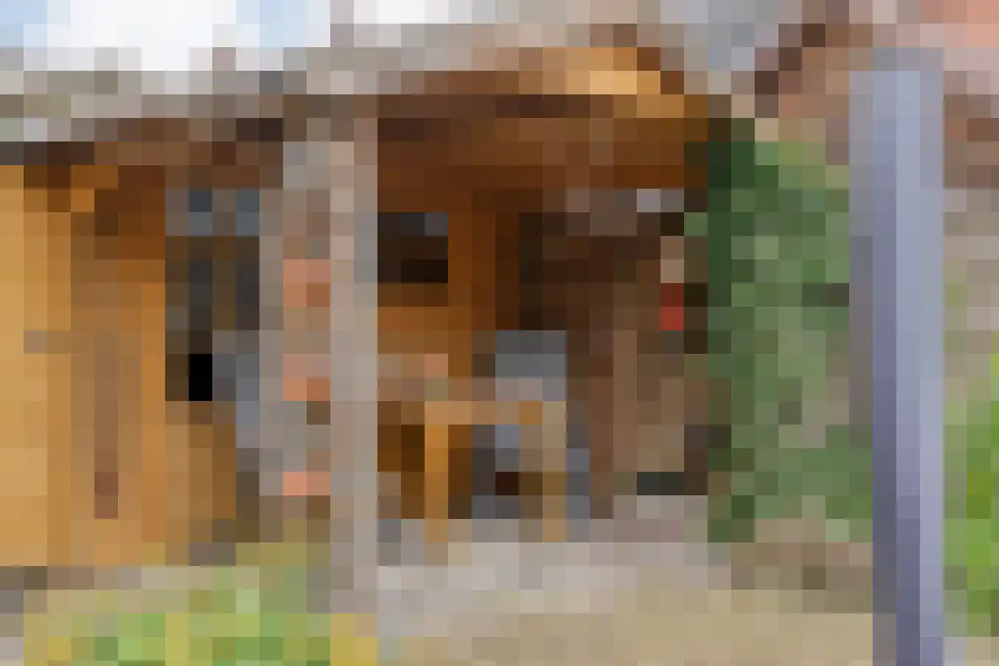 Korhoenlaan 13 Beilen thumbnail 43