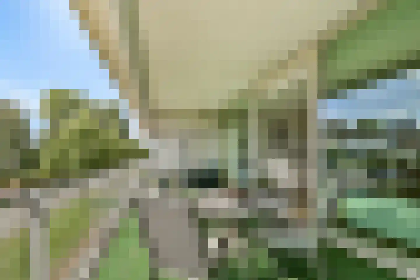 Korhoenlaan 16 Vlaardingen thumbnail 11