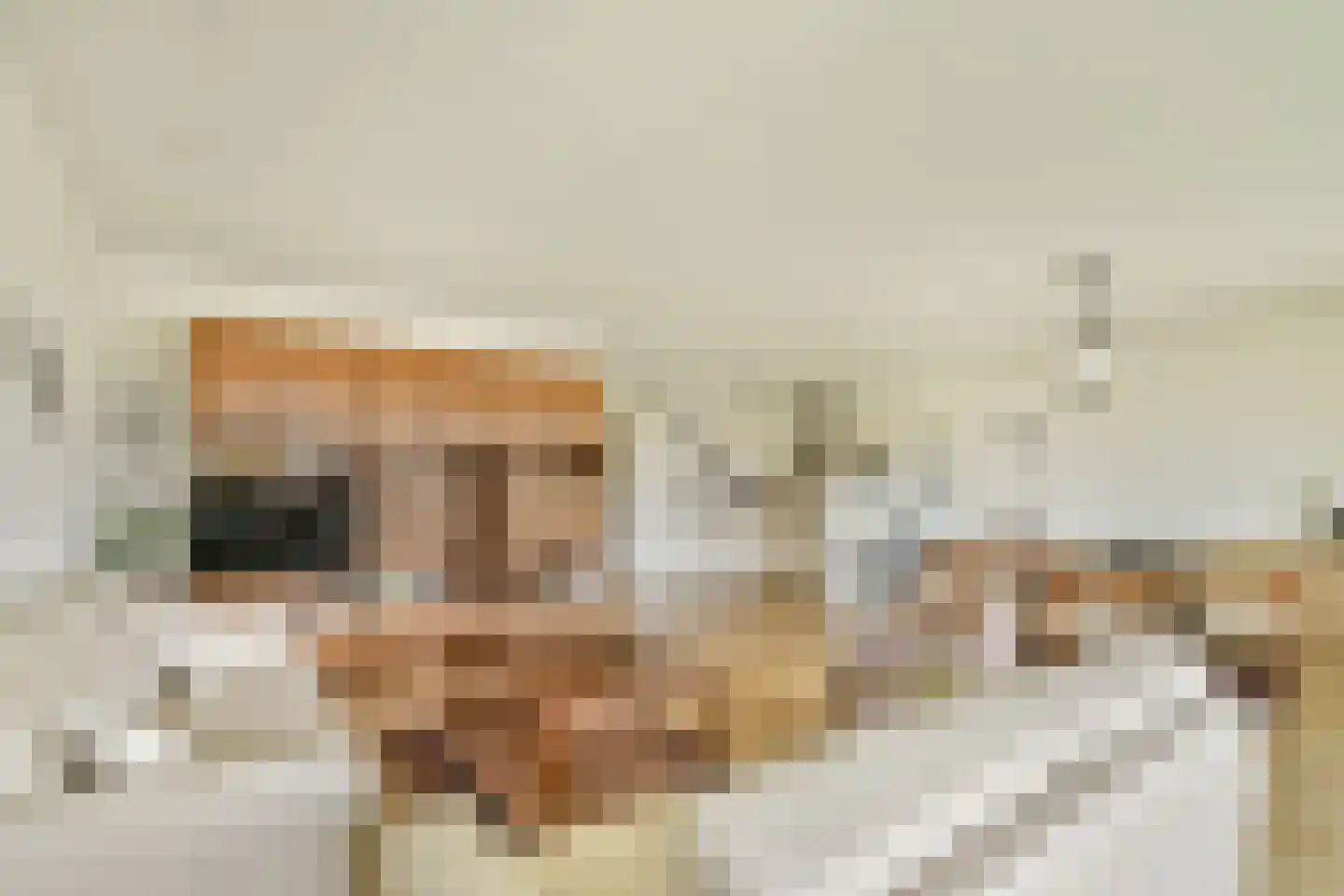 Korhoenlaan 16 Vlaardingen thumbnail 13