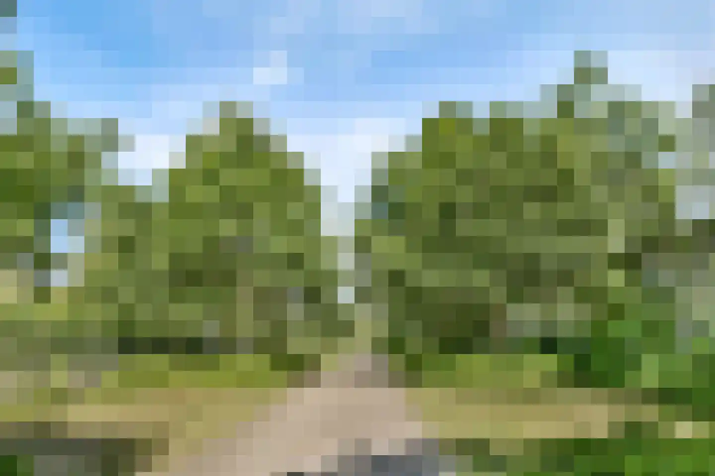Korhoenlaan 16 Vlaardingen thumbnail 27