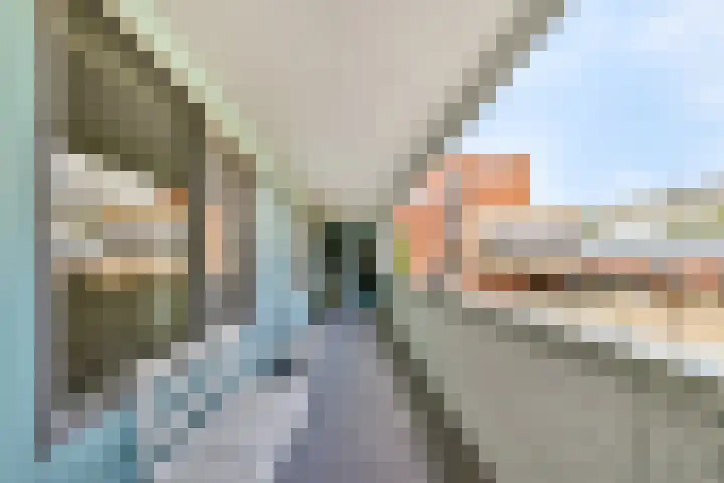 Korhoenlaan 16 Vlaardingen thumbnail 5