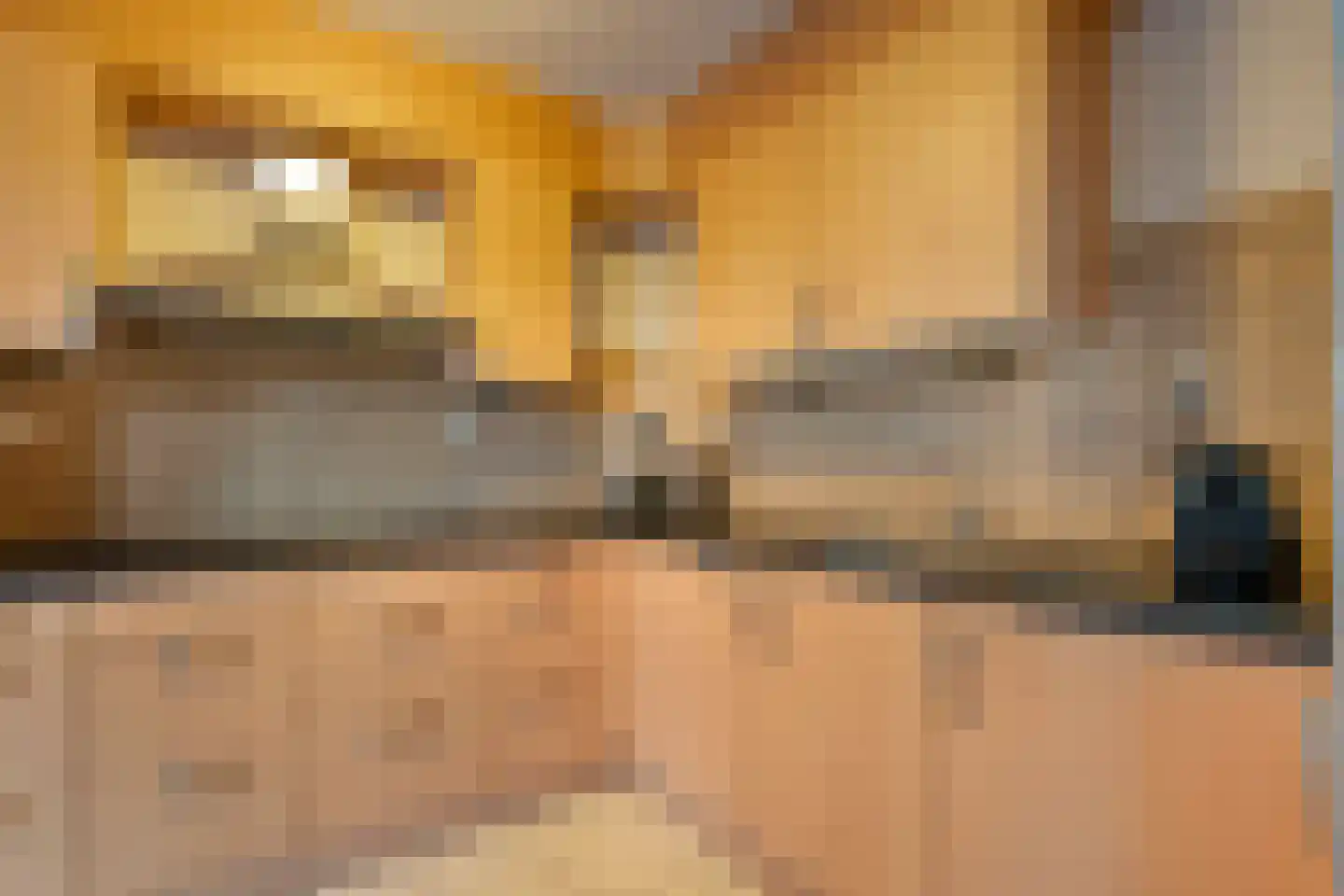 Korhoenlaan 17 Beilen thumbnail 16