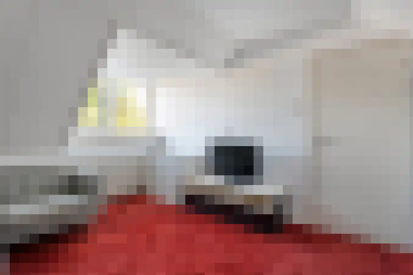 Korhoenlaan 17 Beilen thumbnail 35