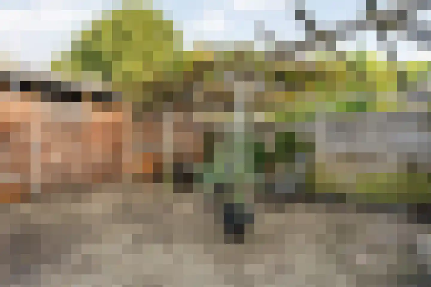 Korhoenlaan 17 Beilen thumbnail 41
