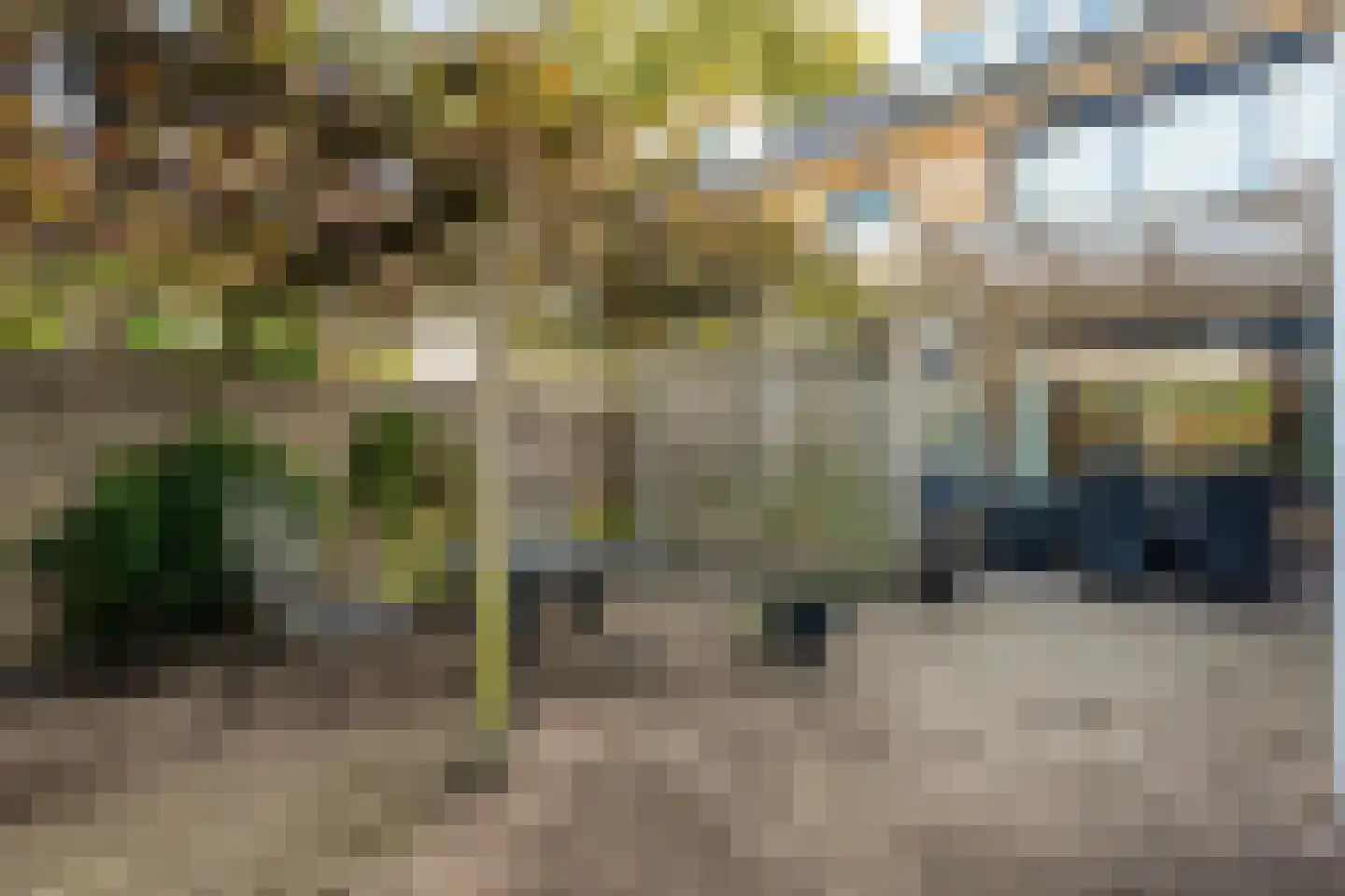 Korhoenlaan 17 Beilen thumbnail 42