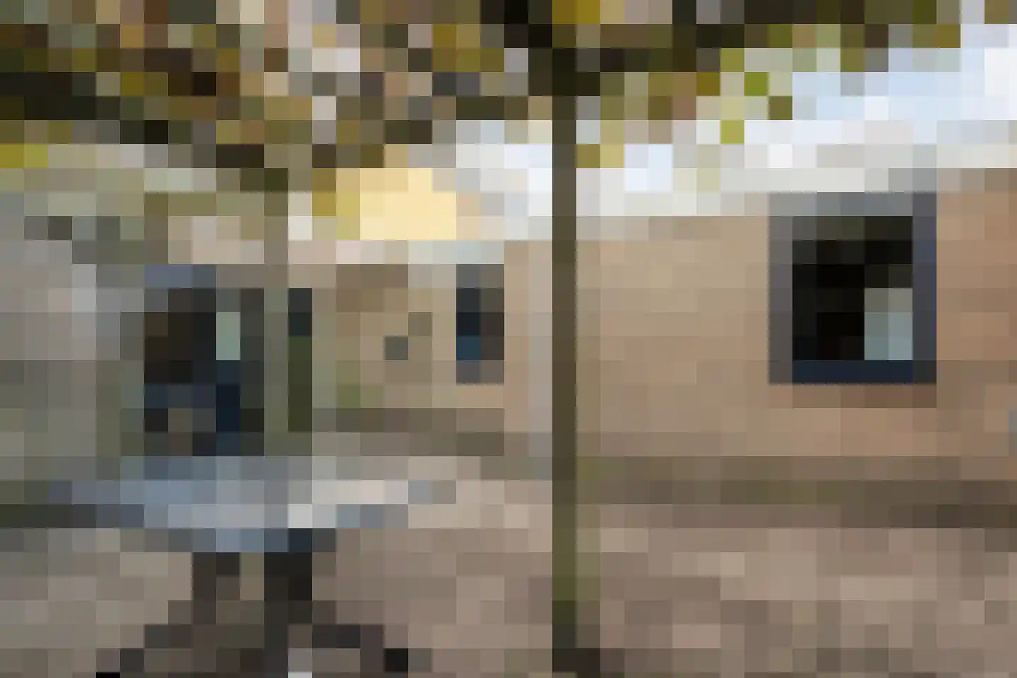 Korhoenlaan 17 Beilen thumbnail 43