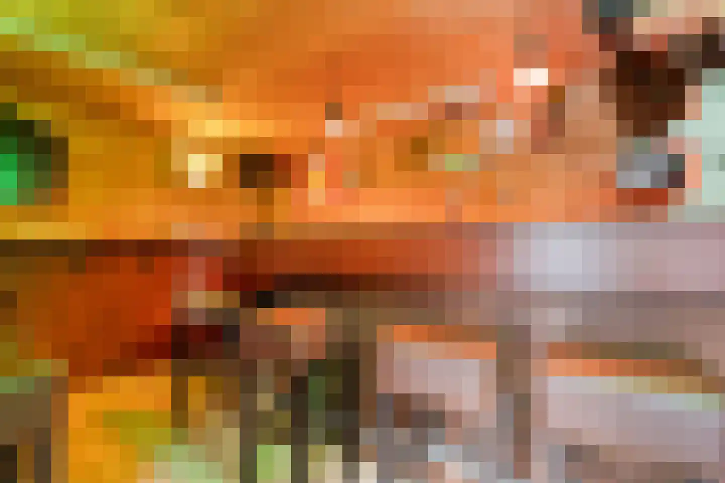 Korhoenlaan 17 Beilen thumbnail 45