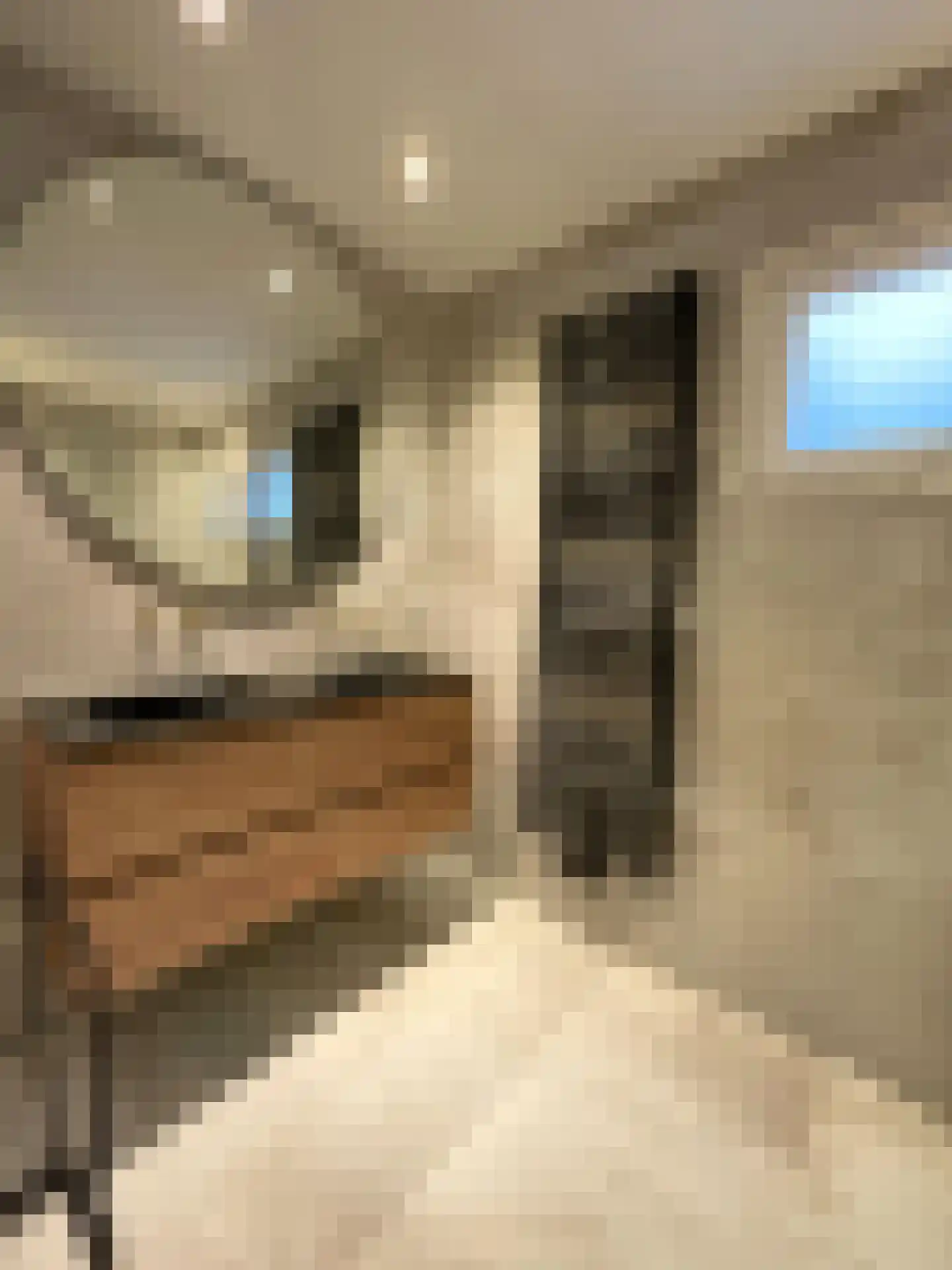 Korhoenlaan 2 146 Harderwijk thumbnail 10