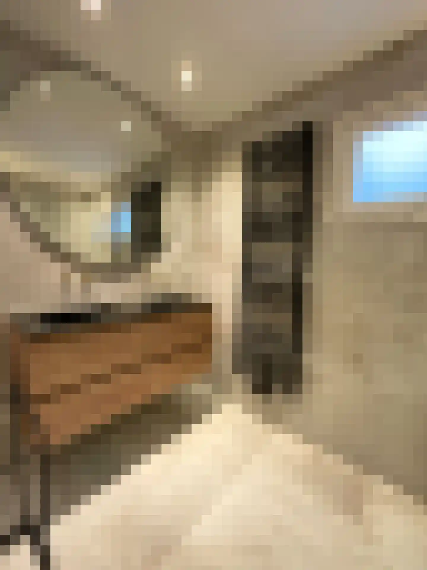 Korhoenlaan 2 146 Harderwijk thumbnail 11