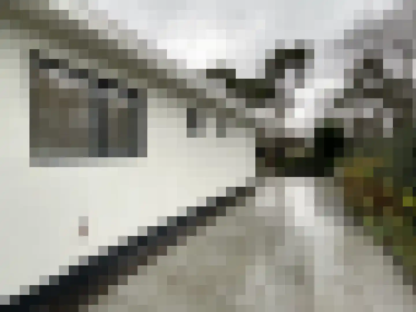 Korhoenlaan 2 146 Harderwijk thumbnail 14