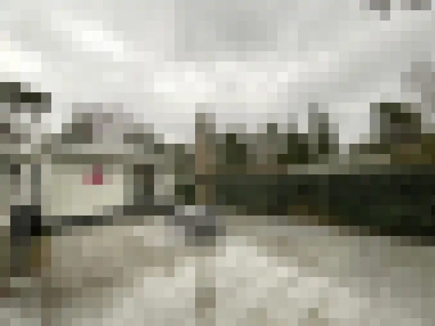 Korhoenlaan 2 146 Harderwijk thumbnail 15