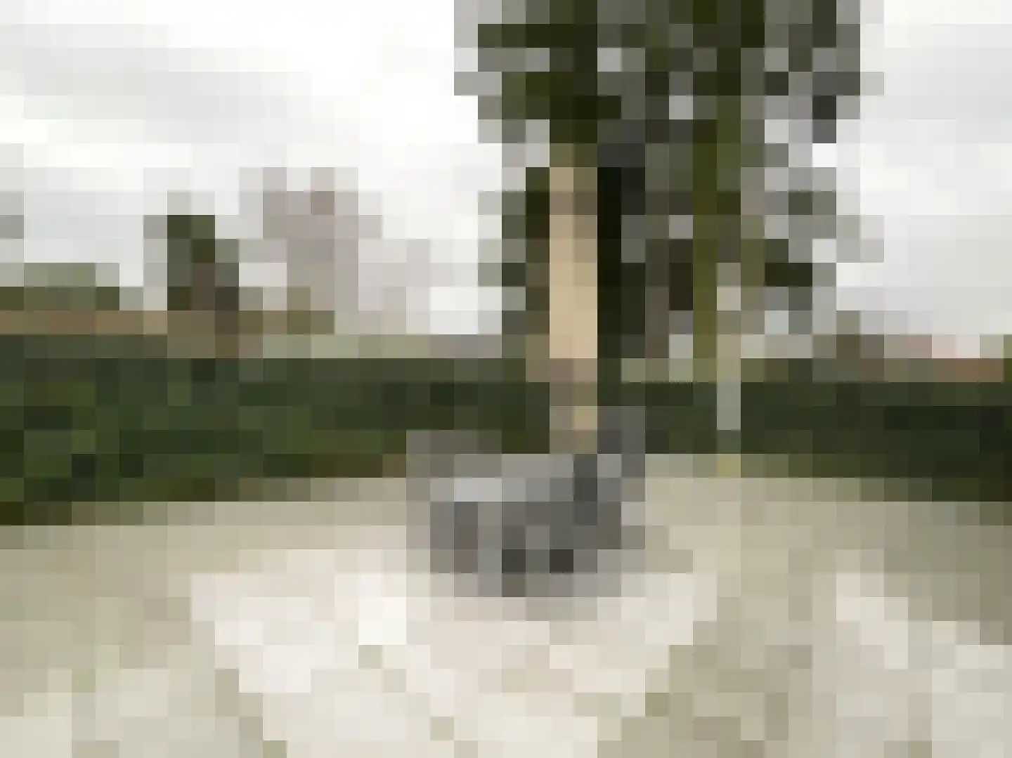 Korhoenlaan 2 146 Harderwijk thumbnail 15