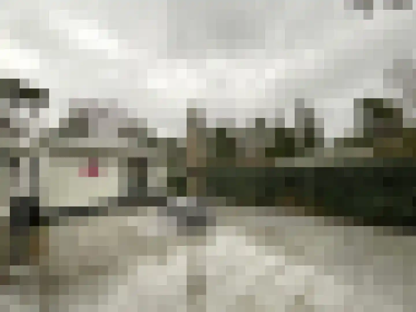Korhoenlaan 2 146 Harderwijk thumbnail 16