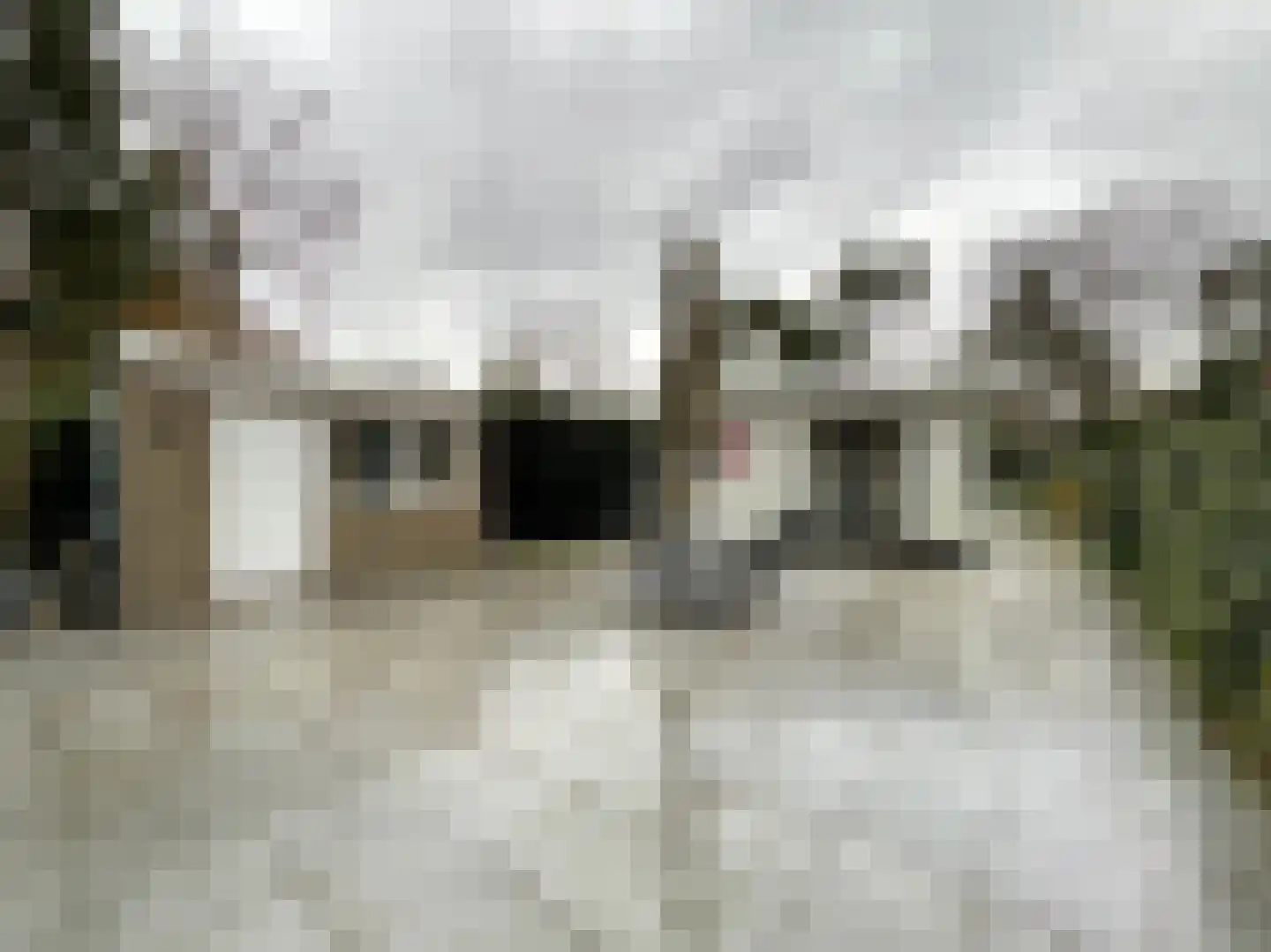 Korhoenlaan 2 146 Harderwijk thumbnail 17