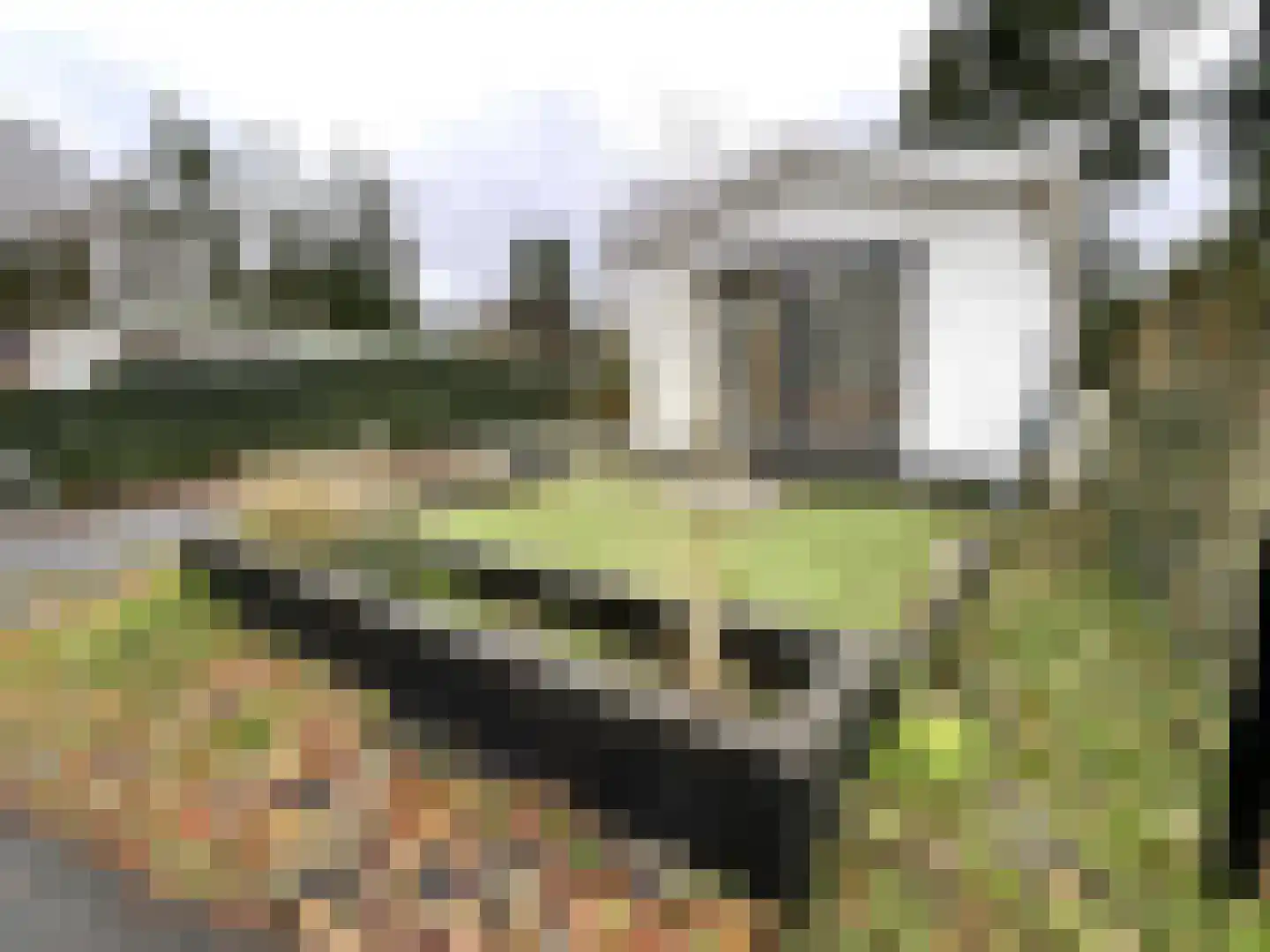 Korhoenlaan 2 146 Harderwijk thumbnail 18