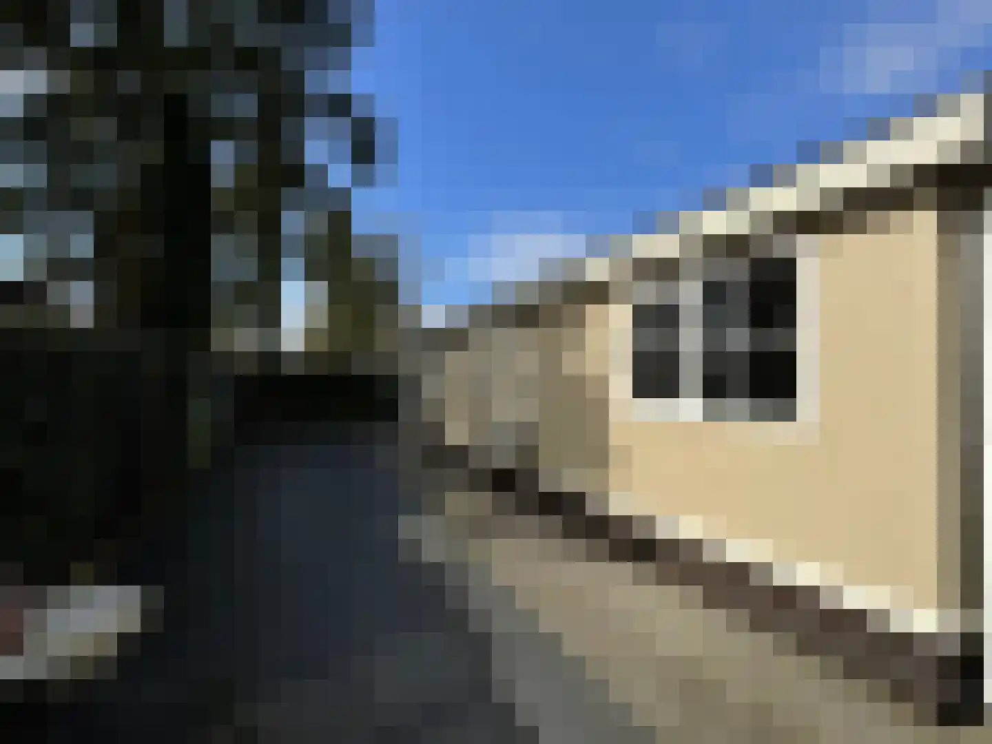 Korhoenlaan 2 146 Harderwijk thumbnail 20