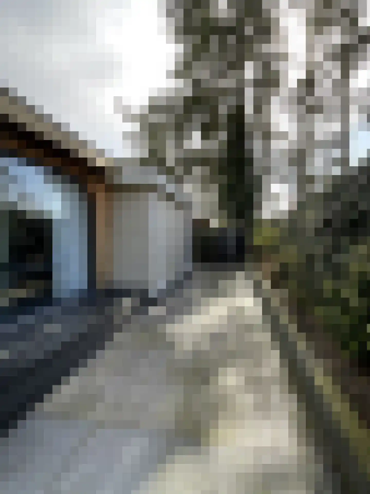 Korhoenlaan 2 146 Harderwijk thumbnail 23