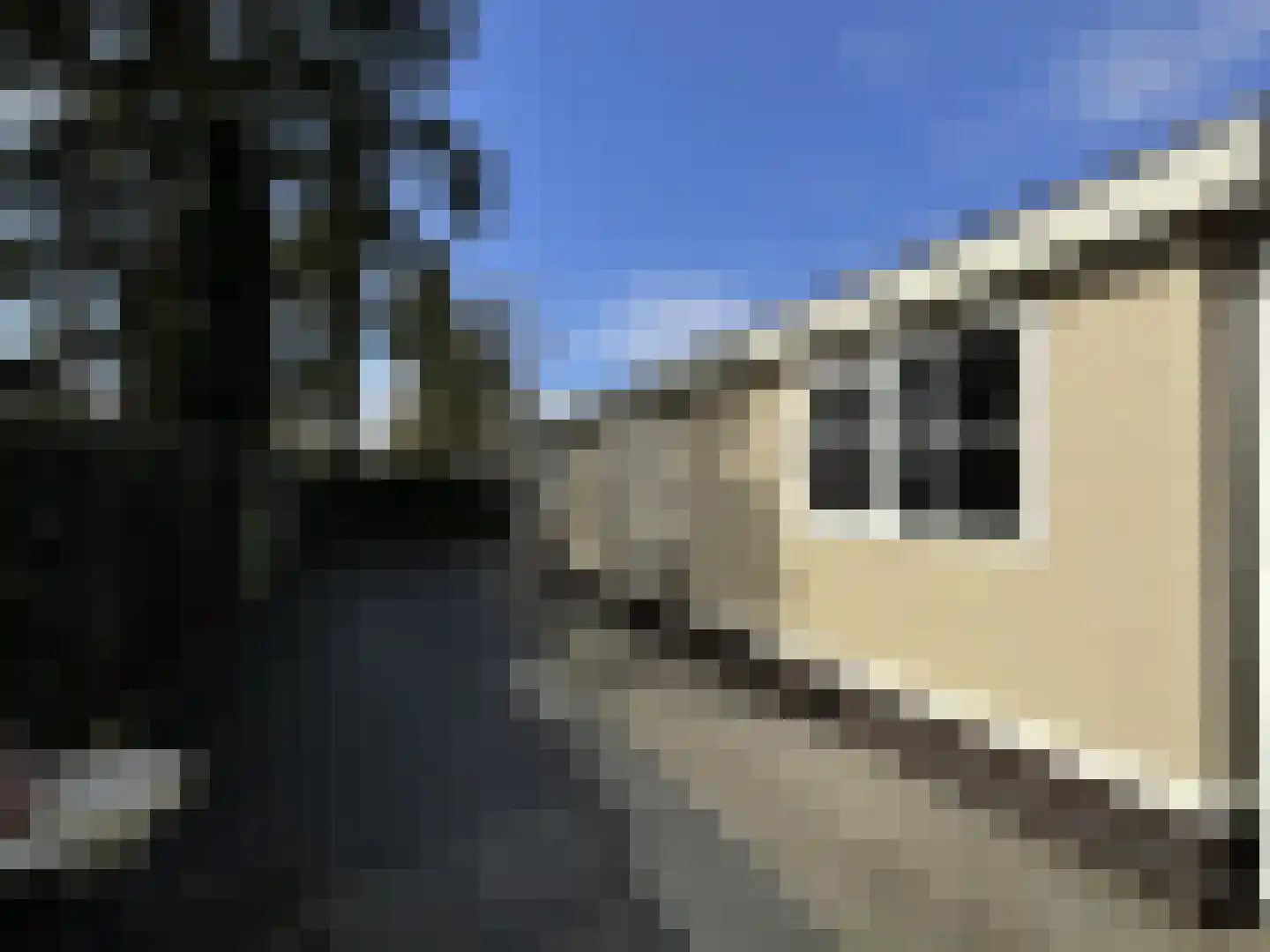 Korhoenlaan 2 147 Harderwijk thumbnail 20